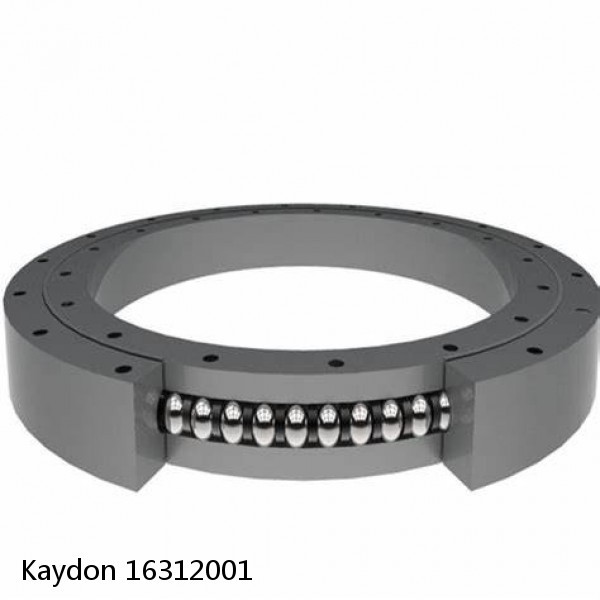 16312001 Kaydon Slewing Ring Bearings