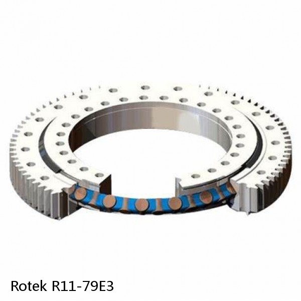 R11-79E3 Rotek Slewing Ring Bearings