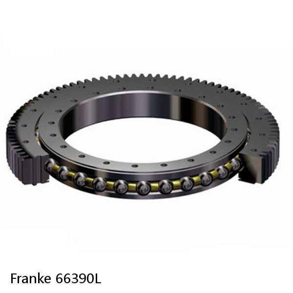 66390L Franke Slewing Ring Bearings #1 small image