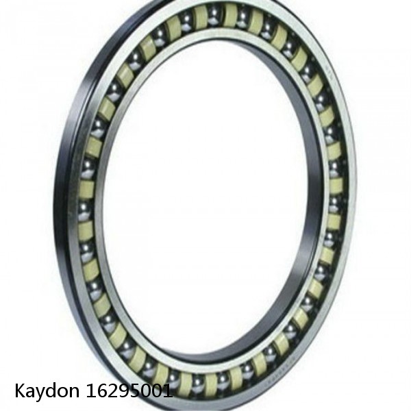 16295001 Kaydon Slewing Ring Bearings #1 small image