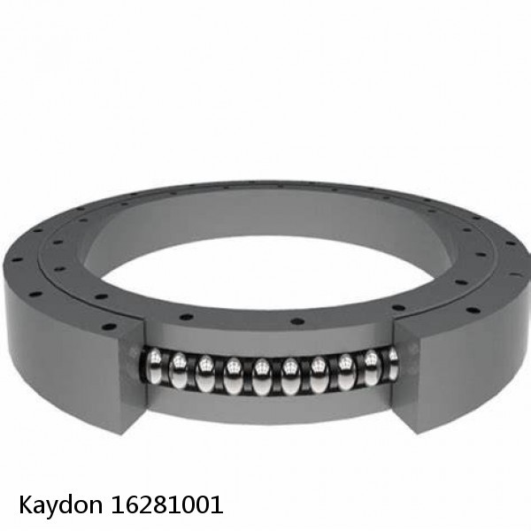 16281001 Kaydon Slewing Ring Bearings #1 small image