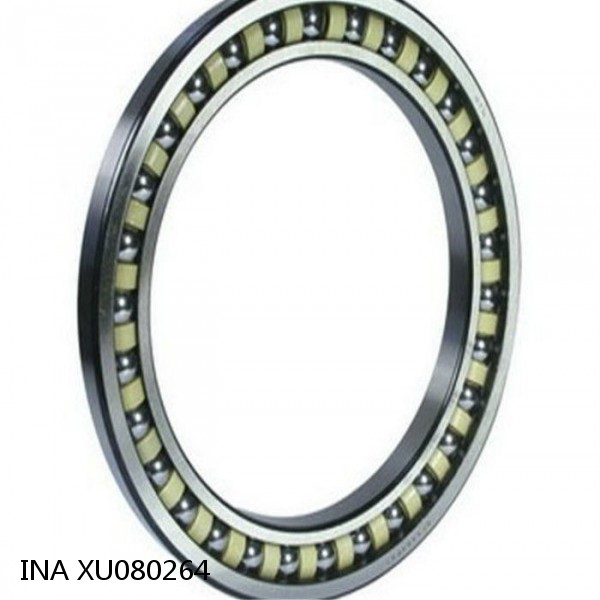 XU080264 INA Slewing Ring Bearings