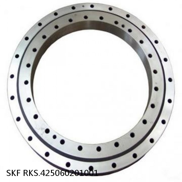 RKS.425060201001 SKF Slewing Ring Bearings #1 small image