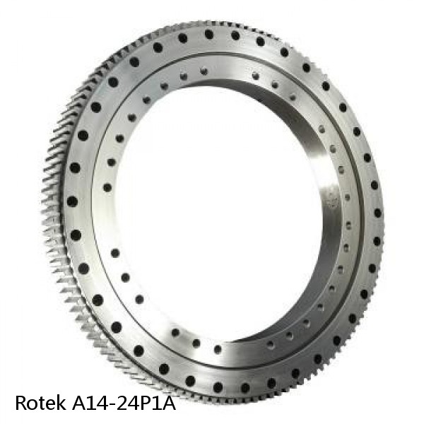 A14-24P1A Rotek Slewing Ring Bearings