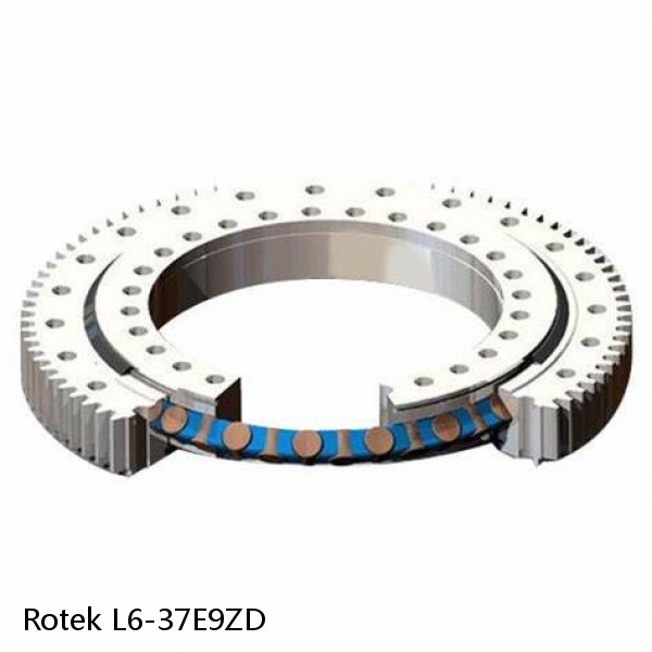 L6-37E9ZD Rotek Slewing Ring Bearings #1 small image