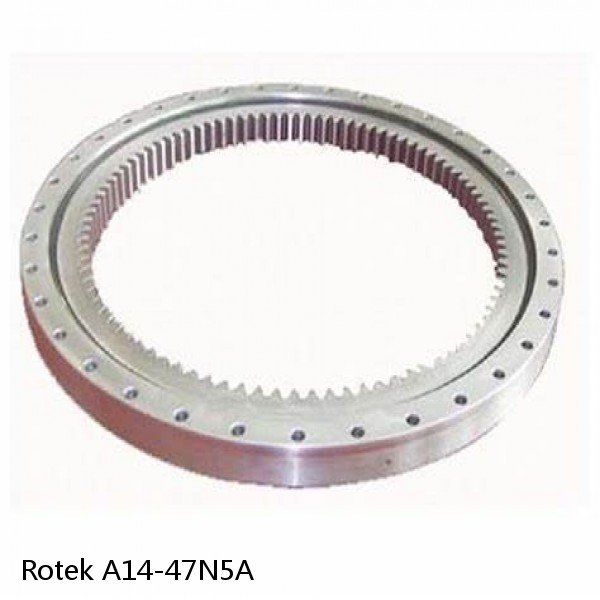 A14-47N5A Rotek Slewing Ring Bearings #1 small image