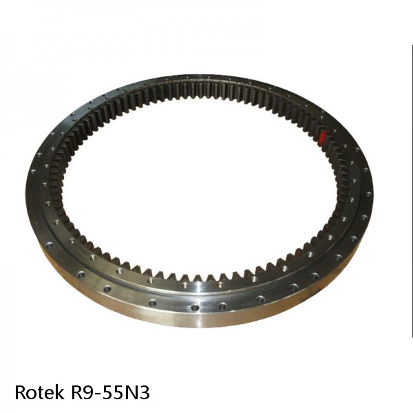 R9-55N3 Rotek Slewing Ring Bearings #1 small image