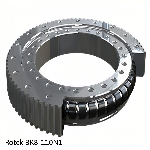 3R8-110N1 Rotek Slewing Ring Bearings