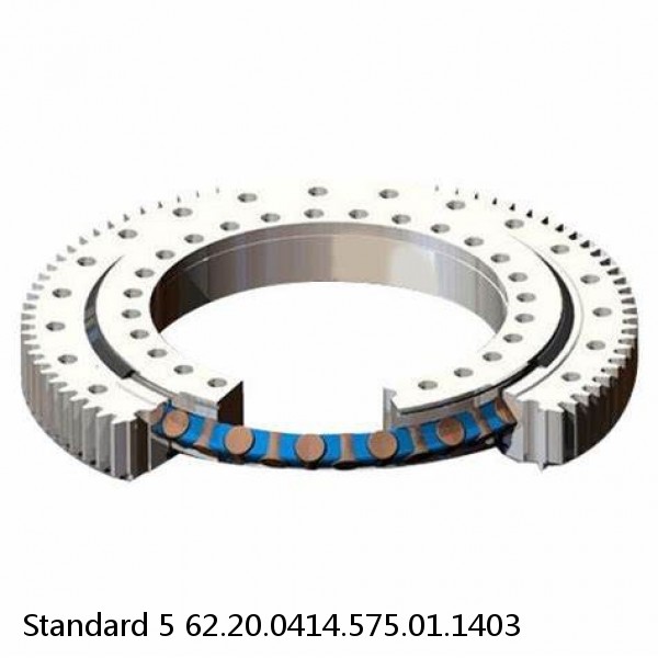 62.20.0414.575.01.1403 Standard 5 Slewing Ring Bearings #1 small image