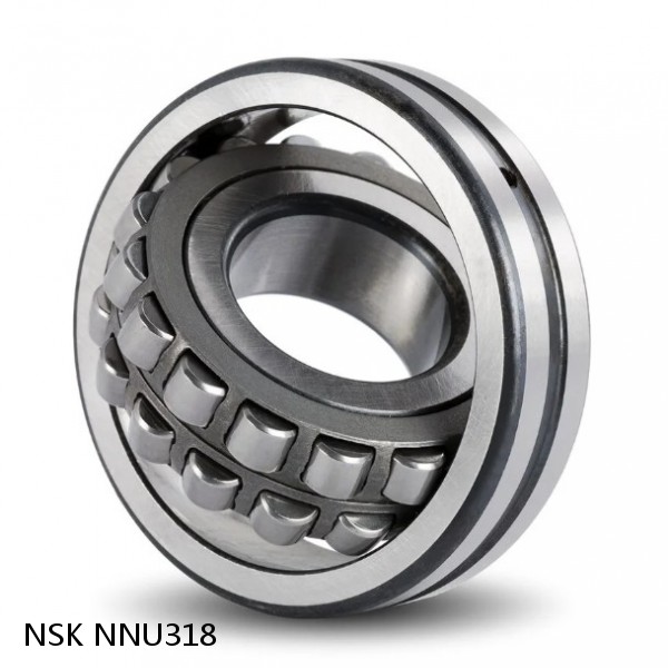 NNU318 NSK CYLINDRICAL ROLLER BEARING #1 small image