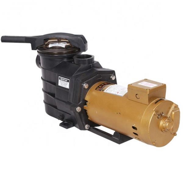Vickers PV032R1K1T1NDLZ+RE06M35T2N1F02 Piston Pump PV Series #1 image