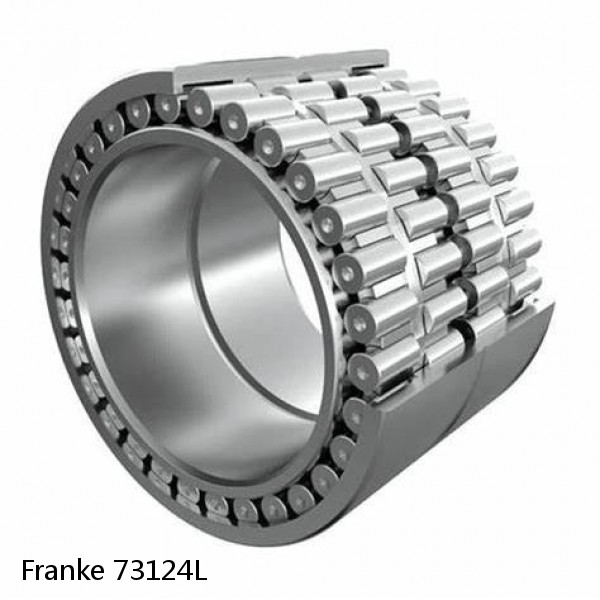 73124L Franke Slewing Ring Bearings #1 image