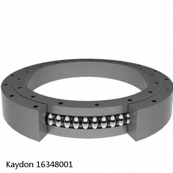 16348001 Kaydon Slewing Ring Bearings #1 image