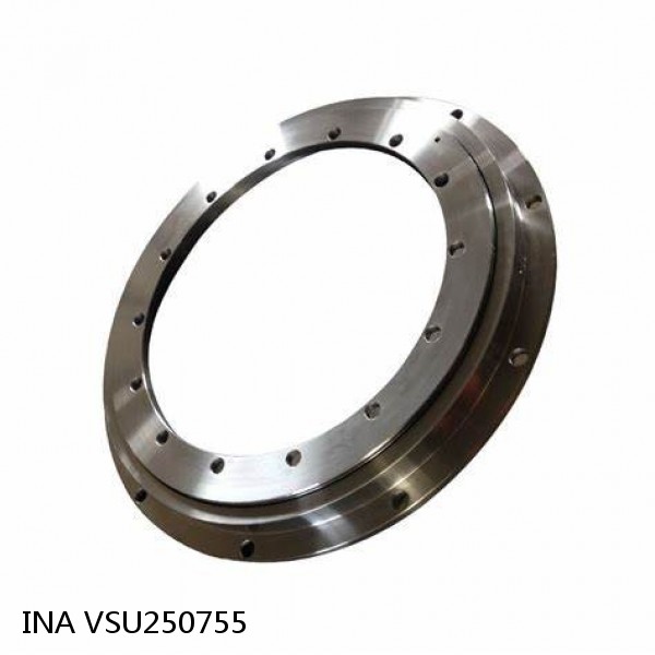 VSU250755 INA Slewing Ring Bearings #1 image