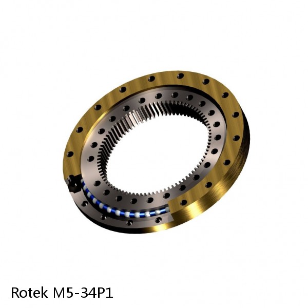 M5-34P1 Rotek Slewing Ring Bearings #1 image