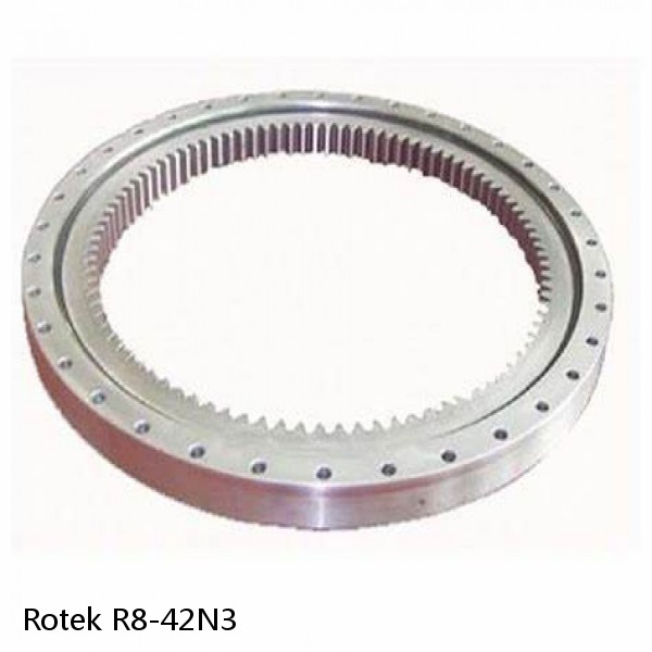 R8-42N3 Rotek Slewing Ring Bearings #1 image