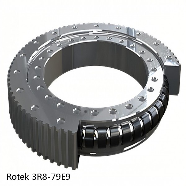 3R8-79E9 Rotek Slewing Ring Bearings #1 image