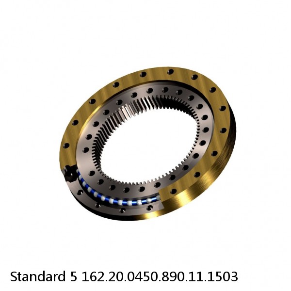 162.20.0450.890.11.1503 Standard 5 Slewing Ring Bearings #1 image