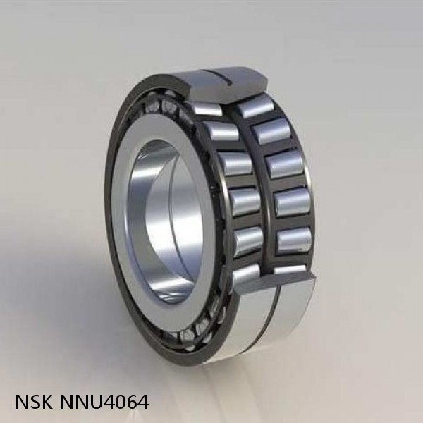 NNU4064 NSK CYLINDRICAL ROLLER BEARING #1 image