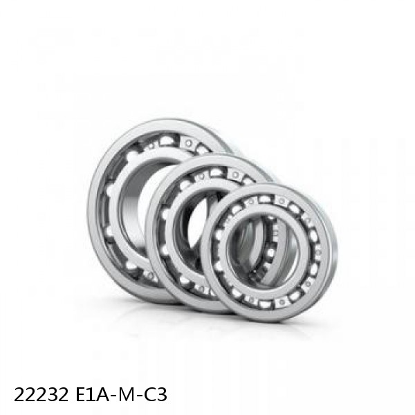 22232 E1A-M-C3          Needle Non Thrust Roller Bearings #1 image